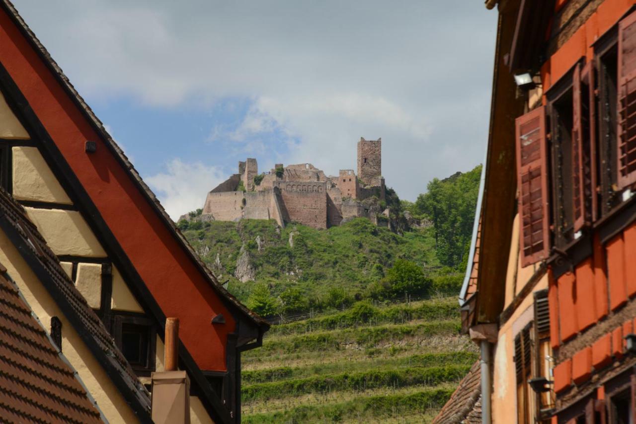 Ribeauville City Center - Gite Des Menetriers, Les Vieilles Vignes - Exteriér fotografie